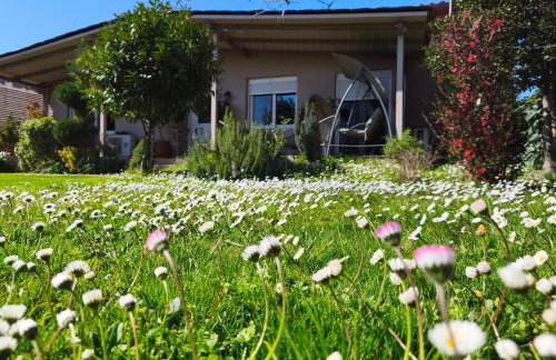 Villa Gomfoi Trikala - Smart Town BnB - Foto 3