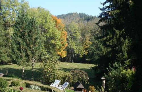 Forsthauswohnung im Schwarzwald - Foto 22