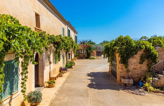 Can Marines des cami des carro - Foto 34