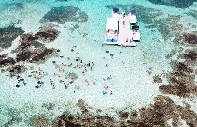 Stingray Spotting Experience in Stingray City Antigua - Photo 1