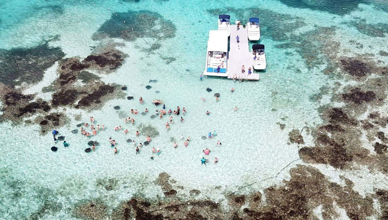 Stingray Spotting Experience in Stingray City Antigua - Foto 1
