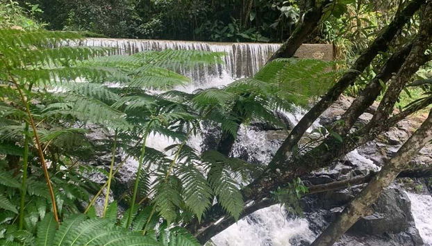 Descubriremos el entorno natural de Guavate