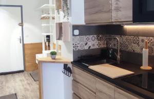 Le Petit Aupillon - L'Aupillon des Forêts - 2 studios cocooning aux Orres - Photo 26