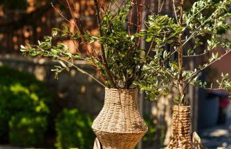 Apartments Antonia - Foto 64