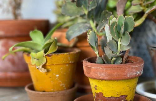 Casa das Termas - Cabeço de Vide - Foto 22