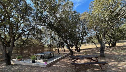 Résidence Casa Cintrone - Foto 3