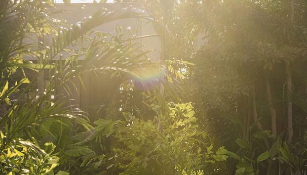 Terraço/pátio interior