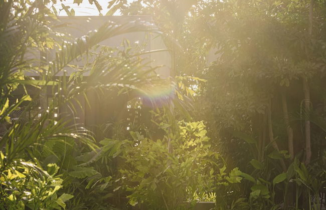 Pig Stone Villa - Photo 5