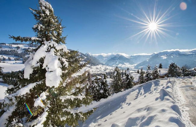 Cosy Chalet With top View - Foto 28