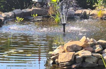 Gîte Pierre, Beynat, Corrèze - Foto 31