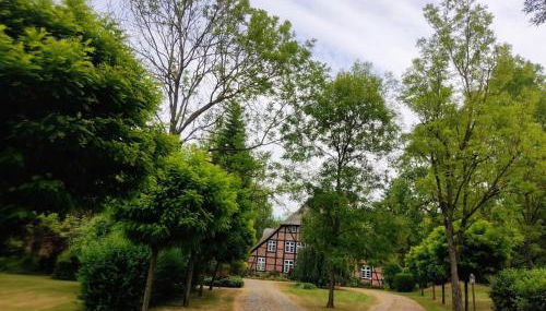 Chalet Forsthof Everstorf - Foto 2, Garden view