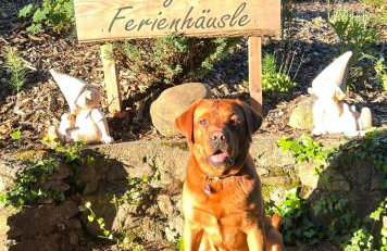 Allgäuer Ferienhäusle - Foto 21