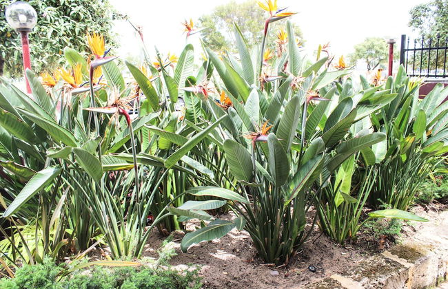 City Waters Perth - Photo 56