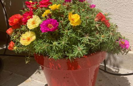 La Posada Townhouse with private parking - Foto 27