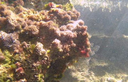 Mirador del Mar - Foto 56