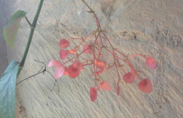 Le Refuge Des Cordeliers - Foto 23