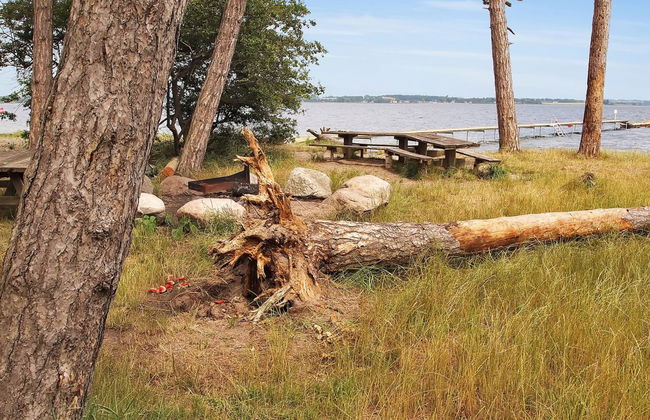 "Jeip" - 400m to the fjord - Foto 6