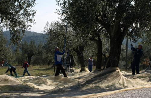 Podere Schioppello Casale con appartamenti privati - Foto 52