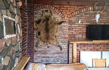 Willa Mortęgi - Foto 19