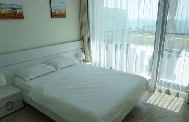 Calithea Complex - Photo 12