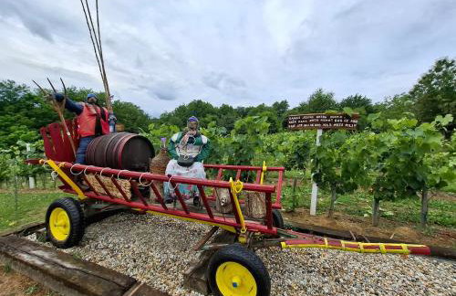 Kuća za odmor Janković - Foto 35