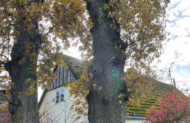 Wiejska chatka - Foto 15