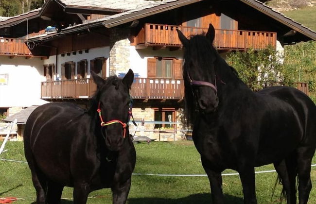 Agriturismo Le Reve - Foto 35