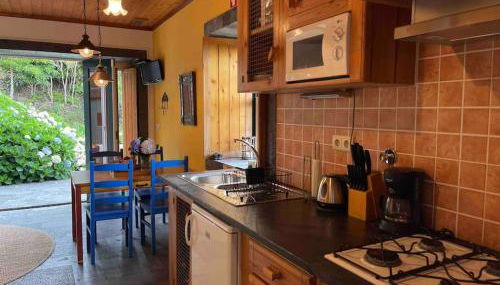 Casa Pequena da Terra Alta - Photo 4, stove, minibar