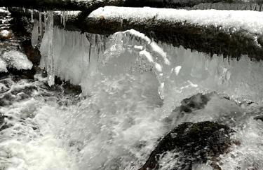 Le Giromagite au pied du Ballon d'Alsace - Foto 15