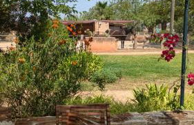 Agroturismo Finca Sant Blai - Photo 12