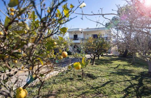 Family and friendly home. - Foto 1