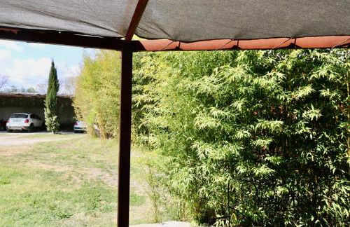 Gîtes Terra di a Bravona - Foto 8