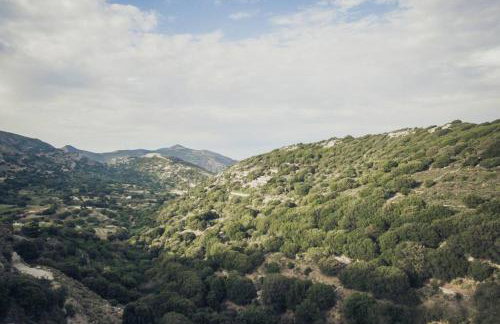 Traditional Inn Pirethron - Foto 62