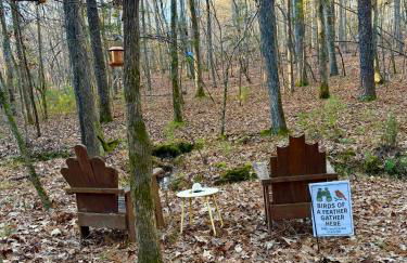 Dome Hideaway on 5 Acres-close to Carbarro & CH - Foto 6