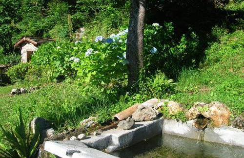 Casa Vacanze IL BOSCACCIO "Casa Serena" - Foto 9