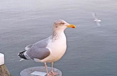 Ferienwohnung Uta - Foto 27