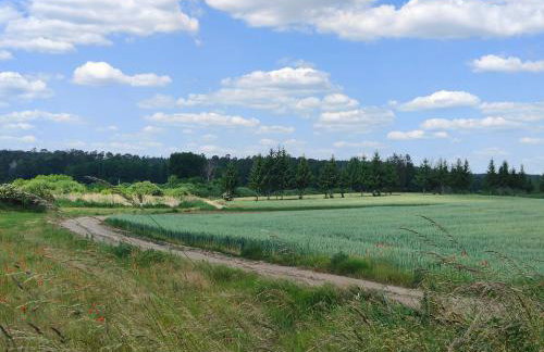Villa Stare Osieczno - Foto 64