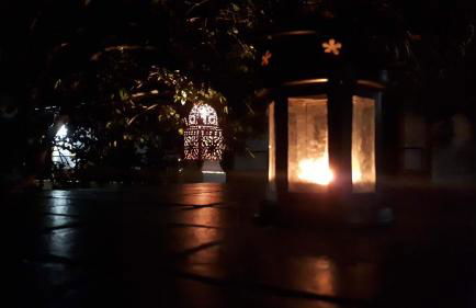 Palacete Dos Alcaides - Foto 63