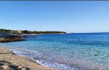 Apartments Galeb - Photo 10