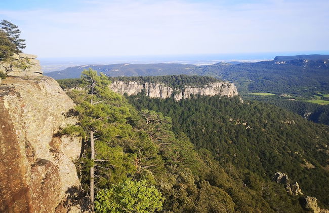 Mas de l'Arlequi Casa rural - Foto 27