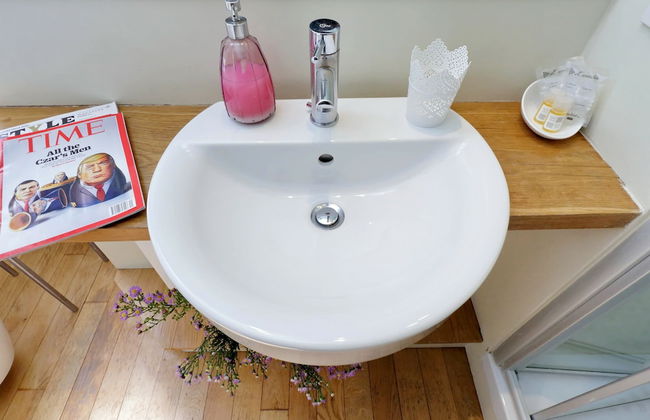 Amaranto Romano - Foto 51