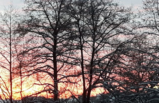 Sellerich Forest Hideaway - Foto 38