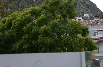 Palamidi view newly constructed apartment - Foto 31