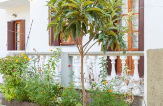 Platanakia - Foto 11