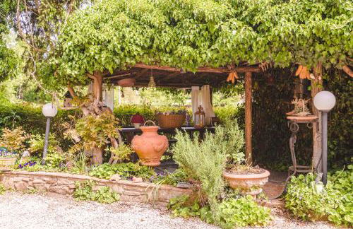 Il Cerretello - Tuscan Experience - Foto 16