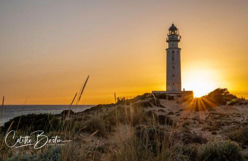 Finca Meerlust - Las Ballenas - Foto 35