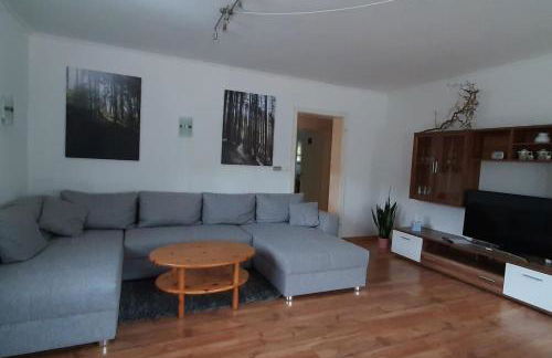 Steepleview House, Schwarzwaldblick Apartment - spacious & peaceful - Foto 12