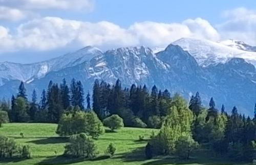 Dom z widokiem na Wierchy - panorama na Tatry - Traditional folk house - Foto 56