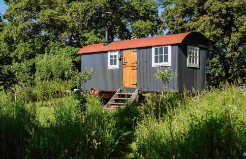 Wellbeing Orchard - Foto 39