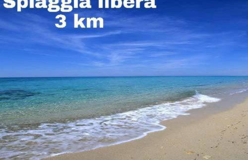 Casa Vacanze BORGO VECCHIO - Photo 22